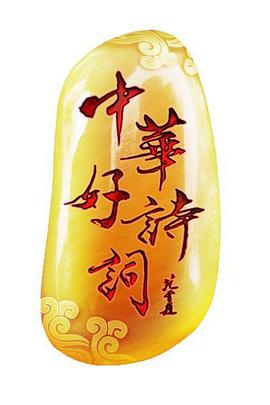中华好诗词特别节目《诗词王中王》(全集)